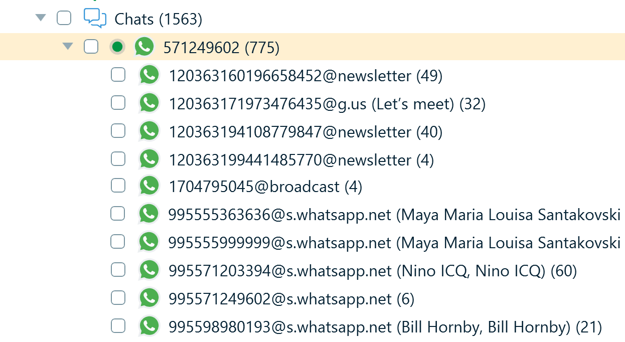 WhatsApp profile displaying various types of individual chats