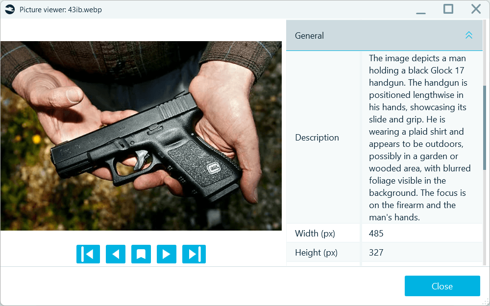 An example of a BelkaGPT description of a weapon in a picture