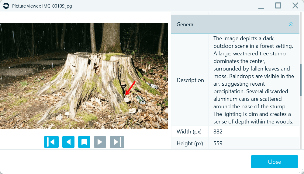 An example of a BelkaGPT description of a picture context