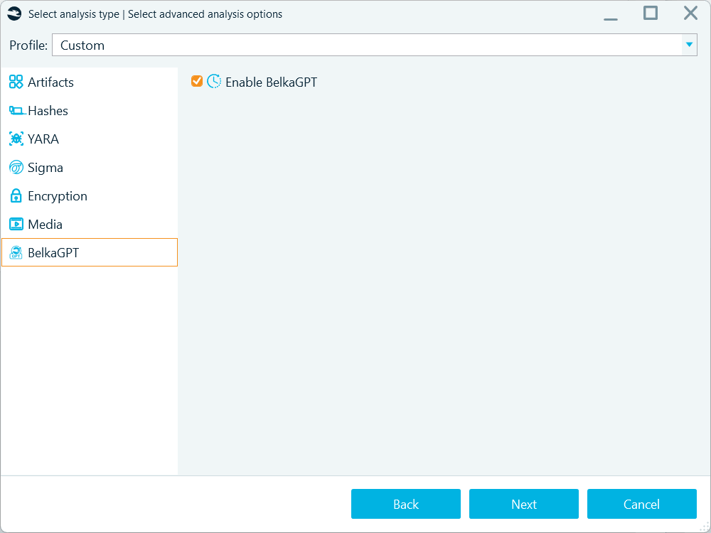 The Enable BelkaGPT option required to process picture descriptions during the initial analysis of a data source