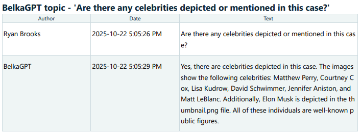 BelkaGPT report results