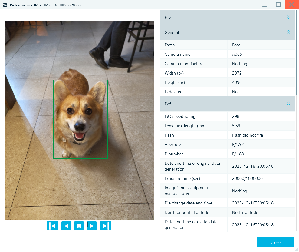 A photo with file properties showing EXIF data