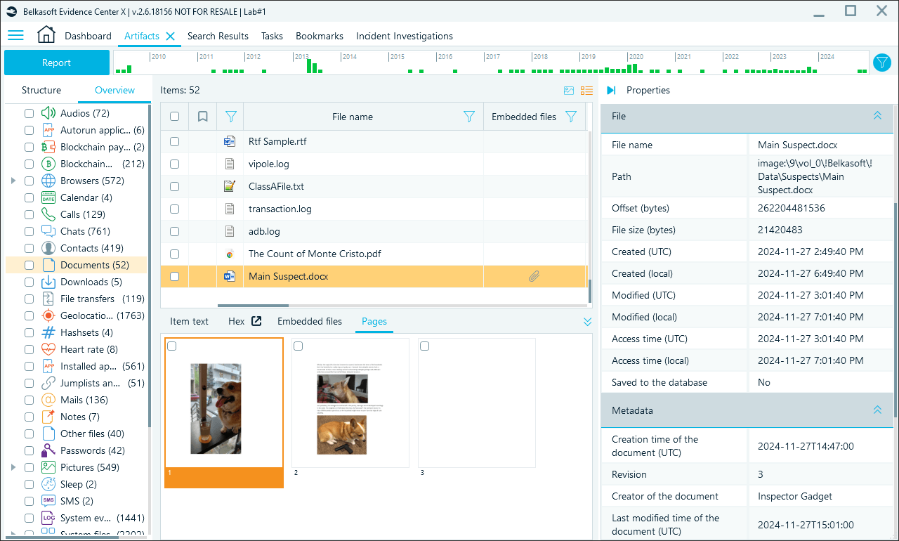 Page preview within documents gallery view