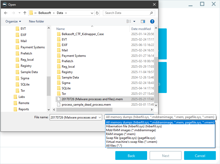 Memory dump format options menu