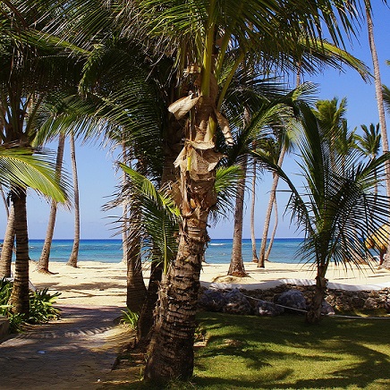 Dominicana